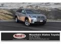 Celestial Silver Metallic 2019 Toyota Highlander Limited AWD