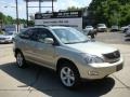 2007 Bamboo Green Pearl Lexus RX 350 AWD  photo #1