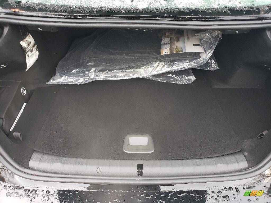 2019 BMW 5 Series 530e iPerformance xDrive Sedan Trunk Photos