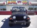 1998 Black Jeep Wrangler Sport 4x4  photo #8