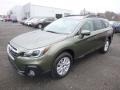 Wilderness Green Metallic - Outback 2.5i Premium Photo No. 8