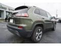 2019 Olive Green Pearl Jeep Cherokee Limited  photo #12