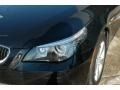 Jet Black - 5 Series 528xi Sedan Photo No. 11