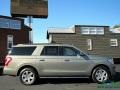 2019 Silver Spruce Metallic Ford Expedition XLT Max 4x4  photo #6