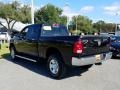 Brilliant Black Crystal Pearl - 2500 Big Horn Crew Cab 4x4 Photo No. 3