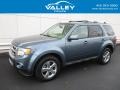Steel Blue Metallic 2012 Ford Escape Limited 4WD
