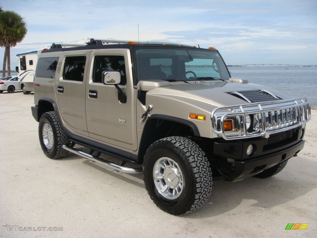 2005 H2 SUV - Pewter Metallic / Ebony Black photo #1