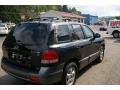 2006 Black Obsidian Hyundai Santa Fe GLS 4WD  photo #14