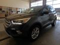 2019 Magnetic Ford Escape SEL 4WD  photo #4