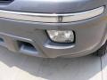 Mineral Silver Metallic - Ascender S Photo No. 11