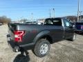 Magnetic - F150 XL Regular Cab 4x4 Photo No. 4