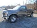 Magnetic - F150 XL Regular Cab 4x4 Photo No. 9