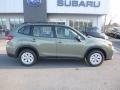 Jasper Green Metallic 2019 Subaru Forester 2.5i Exterior