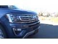 2019 Blue Metallic Ford Expedition Limited 4x4  photo #30