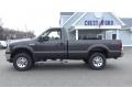 Dark Shadow Gray Metallic - F250 Super Duty XLT Regular Cab 4x4 Photo No. 4