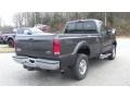 Dark Shadow Gray Metallic - F250 Super Duty XLT Regular Cab 4x4 Photo No. 7