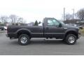 Dark Shadow Gray Metallic - F250 Super Duty XLT Regular Cab 4x4 Photo No. 8
