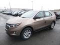2019 Sandy Ridge Metallic Chevrolet Equinox LS  photo #1