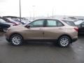 2019 Sandy Ridge Metallic Chevrolet Equinox LS  photo #2