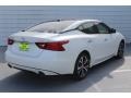 Pearl White - Maxima Platinum Photo No. 9
