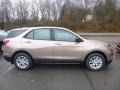 2019 Sandy Ridge Metallic Chevrolet Equinox LS  photo #6