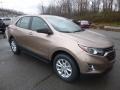2019 Sandy Ridge Metallic Chevrolet Equinox LS  photo #7