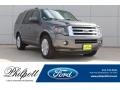 Sterling Gray 2013 Ford Expedition Limited