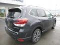 2019 Dark Gray Metallic Subaru Forester 2.5i Limited  photo #4