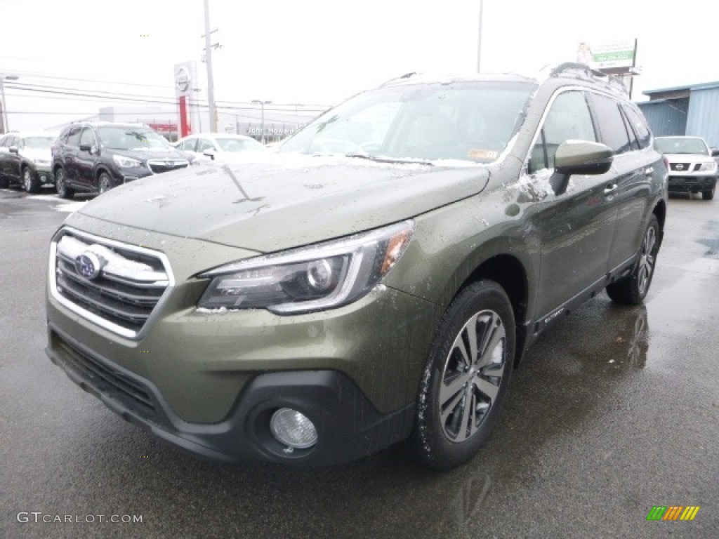 Wilderness Green Metallic 2019 Subaru Outback 3.6R Limited Exterior Photo #130623879