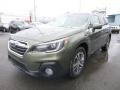 Wilderness Green Metallic 2019 Subaru Outback 3.6R Limited Exterior