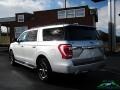 Ingot Silver Metallic - Expedition XLT Max 4x4 Photo No. 3