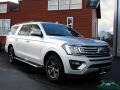 Ingot Silver Metallic - Expedition XLT Max 4x4 Photo No. 7
