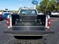 Ingot Silver - F150 XL Regular Cab Photo No. 19