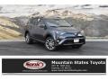 2018 Magnetic Gray Metallic Toyota RAV4 Limited AWD  photo #1
