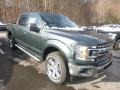 2018 Guard Ford F150 XLT SuperCrew 4x4  photo #6