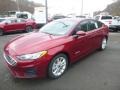 Ruby Red - Fusion Hybrid SE Photo No. 5