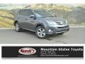 Magnetic Gray Metallic - RAV4 XLE Photo No. 1