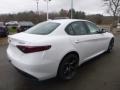 Alfa White - Giulia AWD Photo No. 9