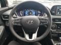 2019 Hyundai Santa Fe Black Interior Steering Wheel Photo