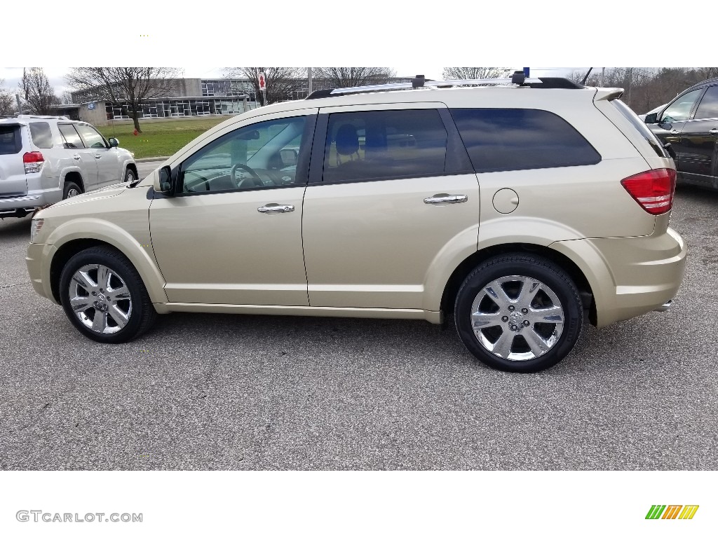 2011 Impala LS - Gold Mist Metallic / Neutral photo #12