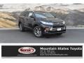 Midnight Black Metallic - Highlander XLE AWD Photo No. 1