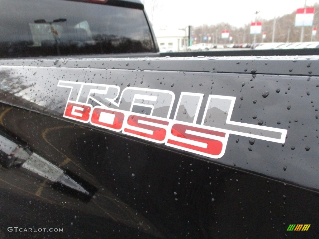2019 Chevrolet Silverado 1500 Custom Z71 Trail Boss Double Cab 4WD Marks and Logos Photo #130786323