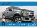 Guard - F150 XLT SuperCrew 4x4 Photo No. 1
