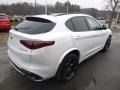 Alfa White - Stelvio Quadrifoglio AWD Photo No. 8