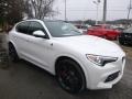 Alfa White 2019 Alfa Romeo Stelvio Quadrifoglio AWD Exterior