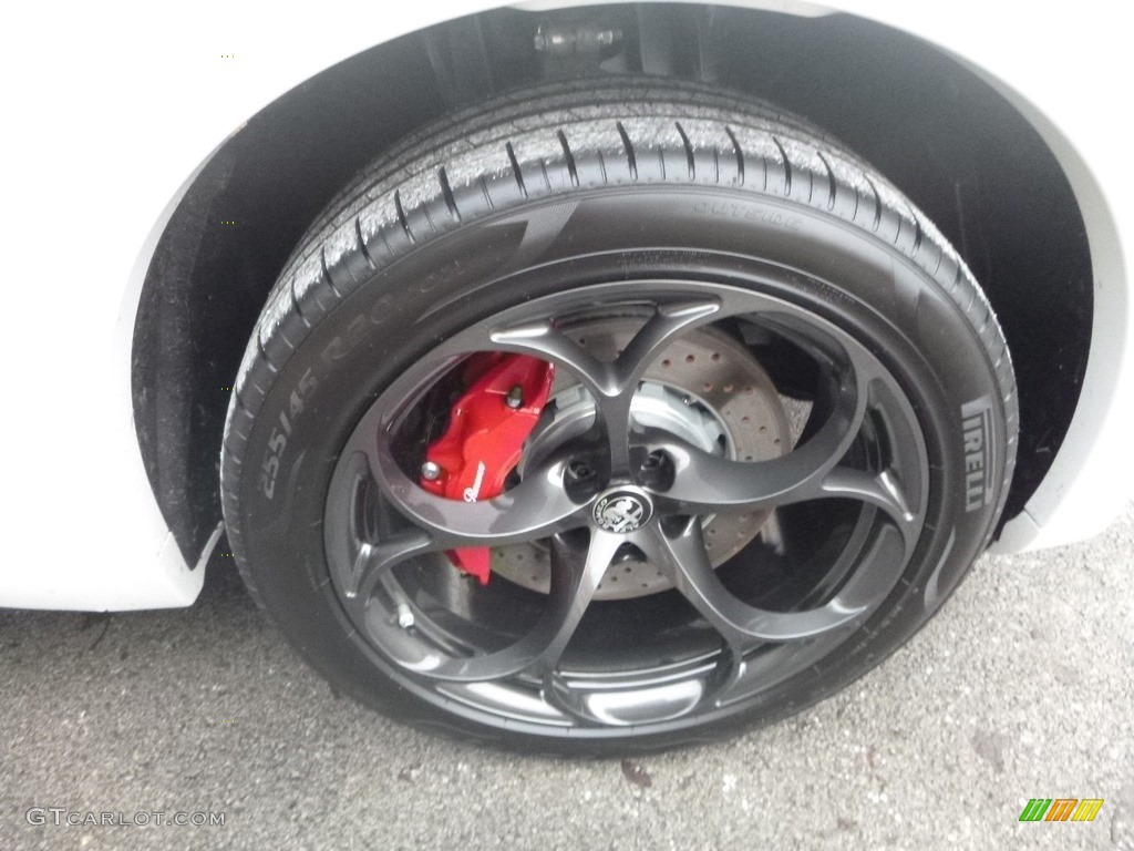 2019 Alfa Romeo Stelvio Quadrifoglio AWD Wheel Photo #130797903