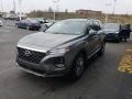 2019 Machine Gray Hyundai Santa Fe Ultimate AWD  photo #3