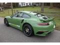 2019 Custom Color (Green) Porsche 911 Turbo S Coupe  photo #6