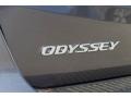 Modern Steel Metallic - Odyssey EX Photo No. 3