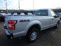 Ingot Silver - F150 XL Regular Cab 4x4 Photo No. 4